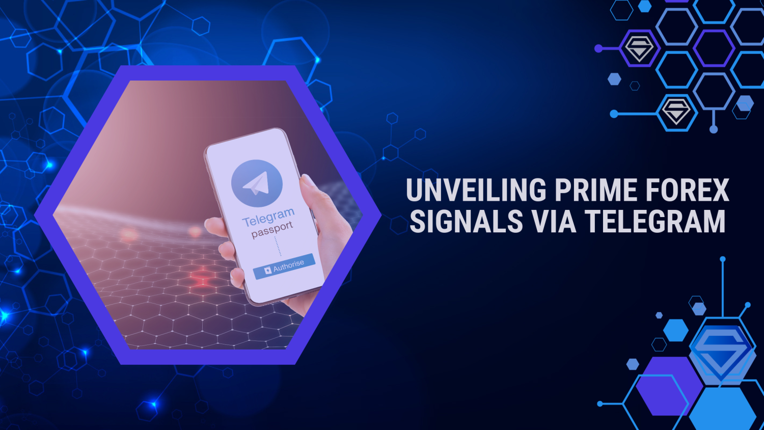Forex Signals on Telegram: How to Find the Best Ones