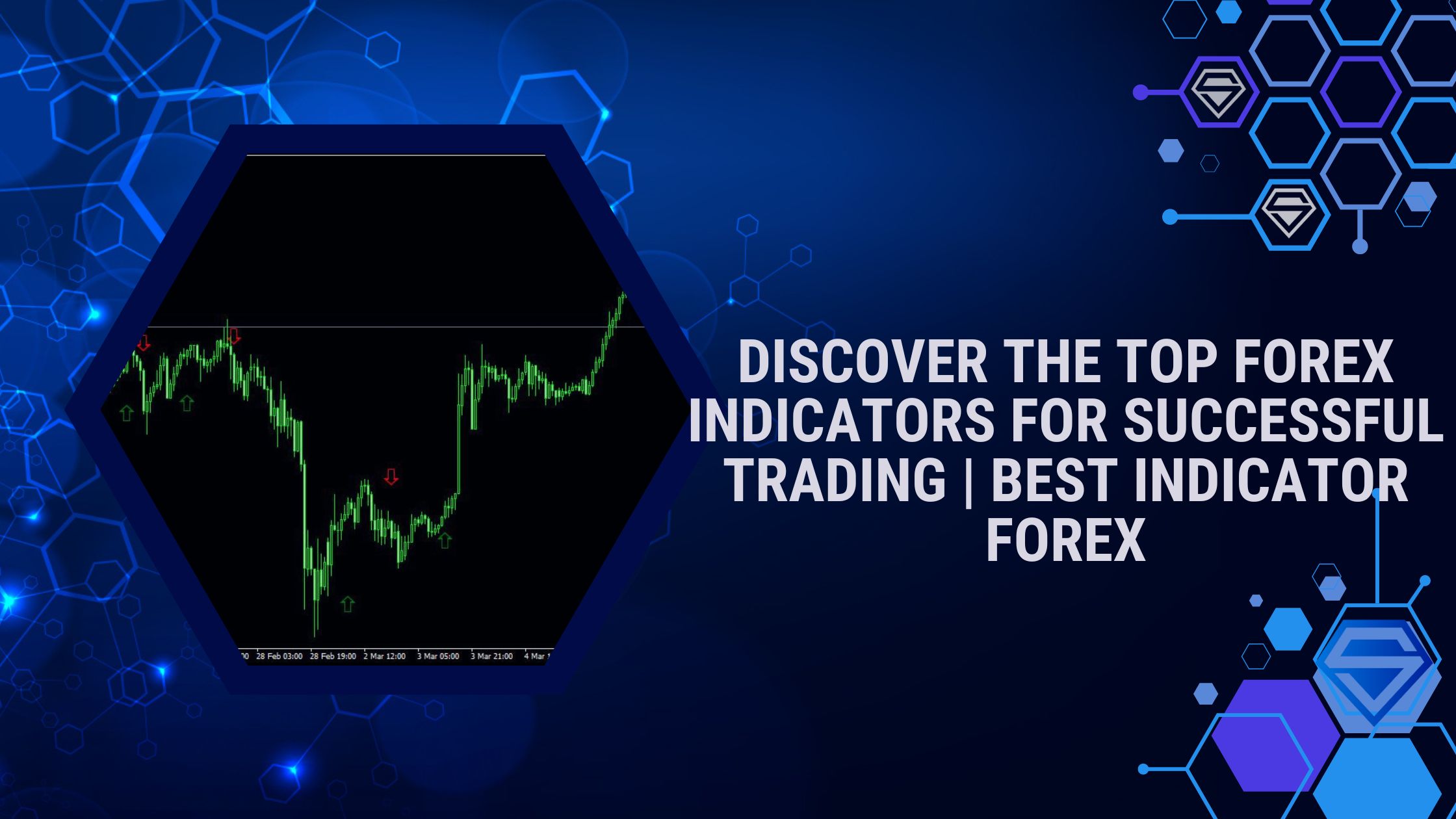 What are the Best Indicators for Forex Trading?