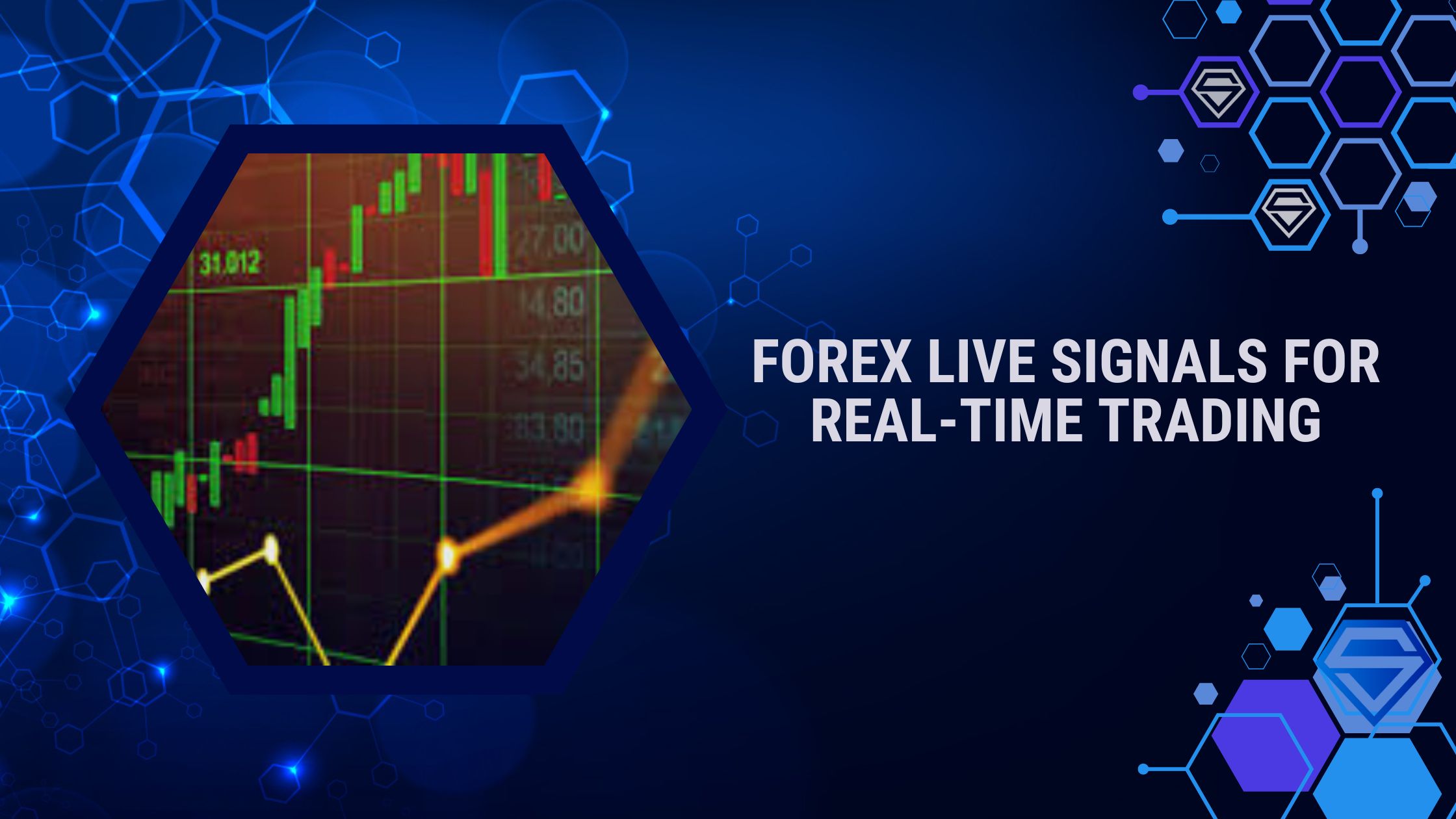 Forex Live Signals for Real-Time Trading