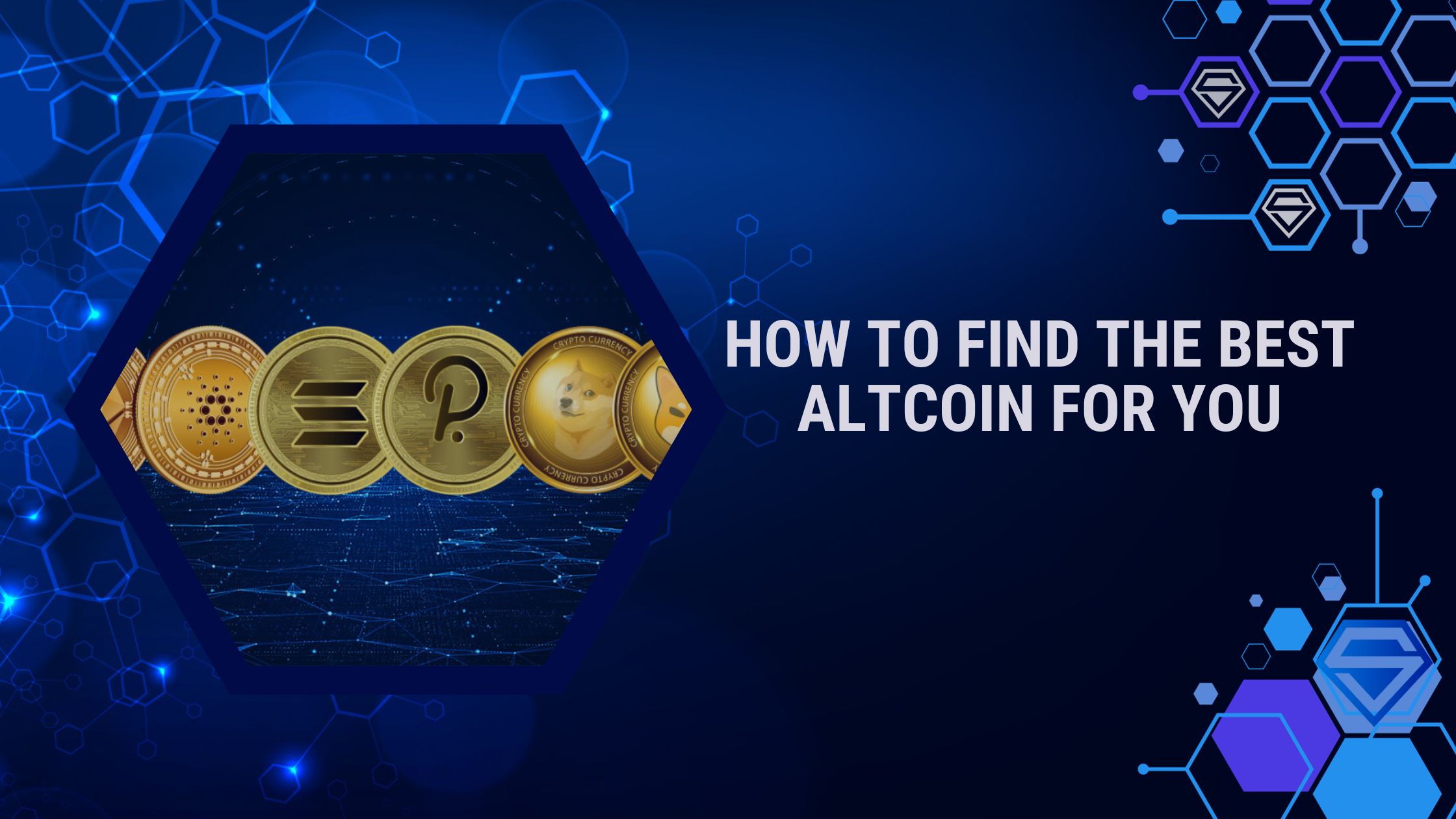 How To Find the Best Altcoin For You