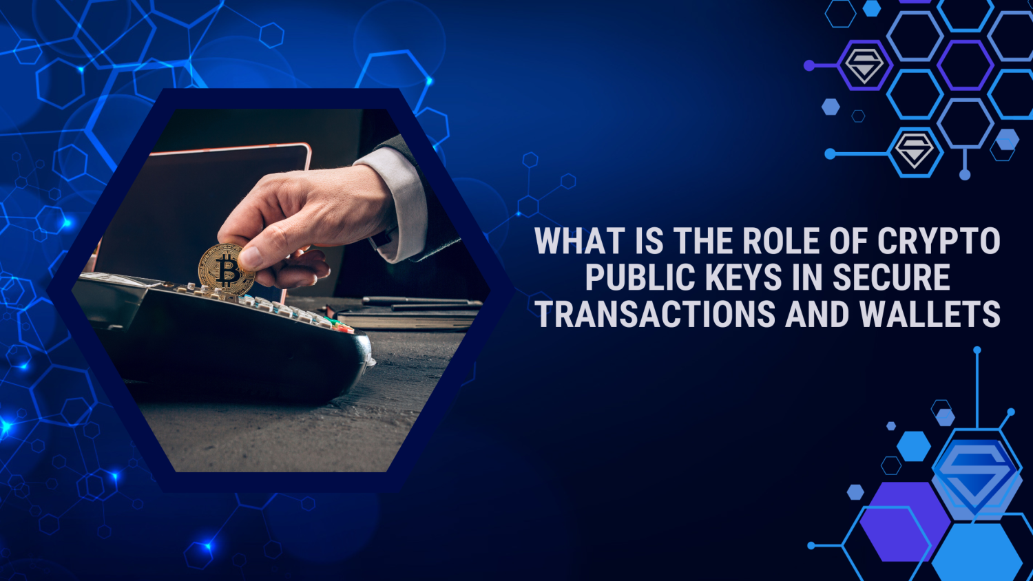 What is the Role of Crypto Public Keys in Secure Transactions and Wallets