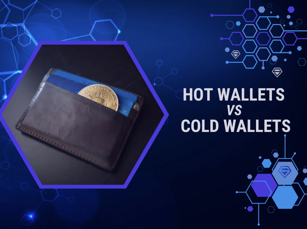 Hot Wallets vs Cold Wallets: Key Differences
