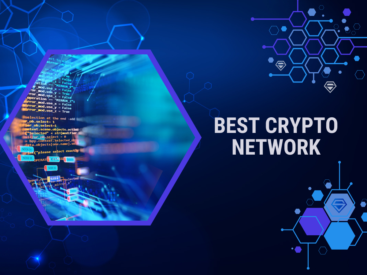 Best Blockchain Network in Crypto: Top Contenders